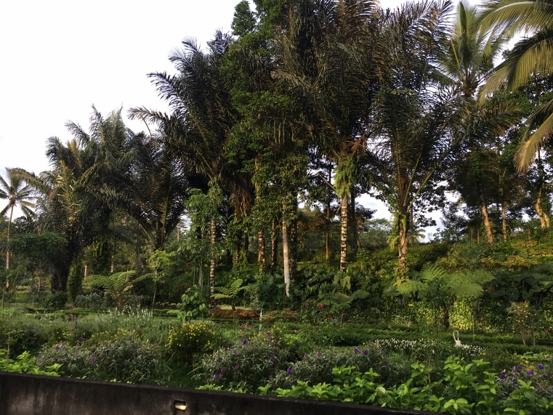 Padma Ubud Garden